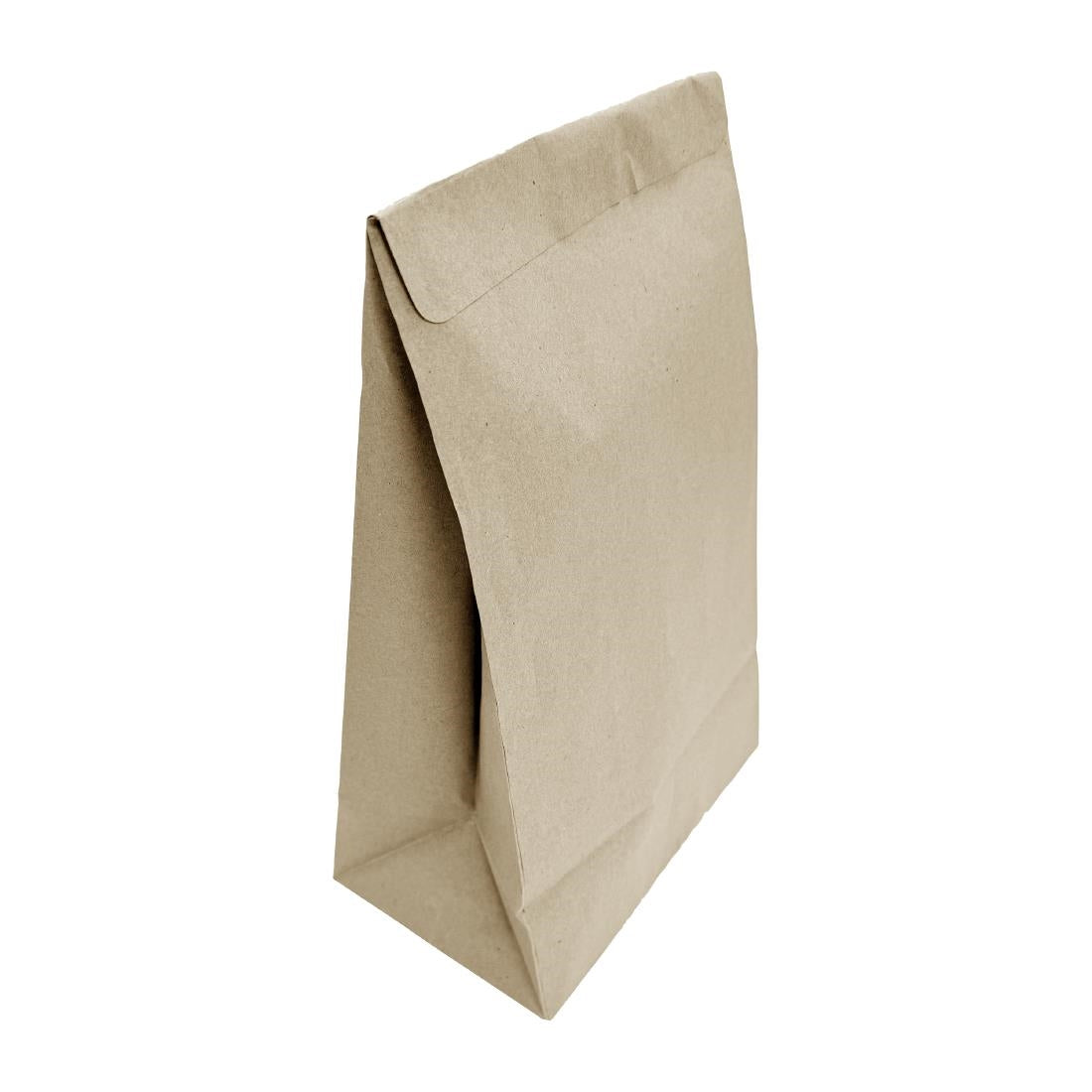 Fiesta Recyclable Sealable Takeaway Bags Medium (250 Pack)