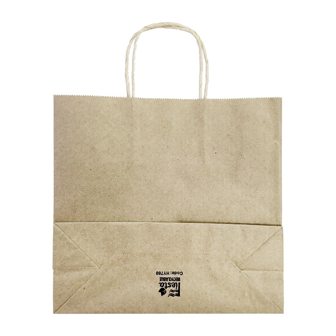 Fiesta Recyclable Twist Handle Brown Paper Bags Small (250 Pack)