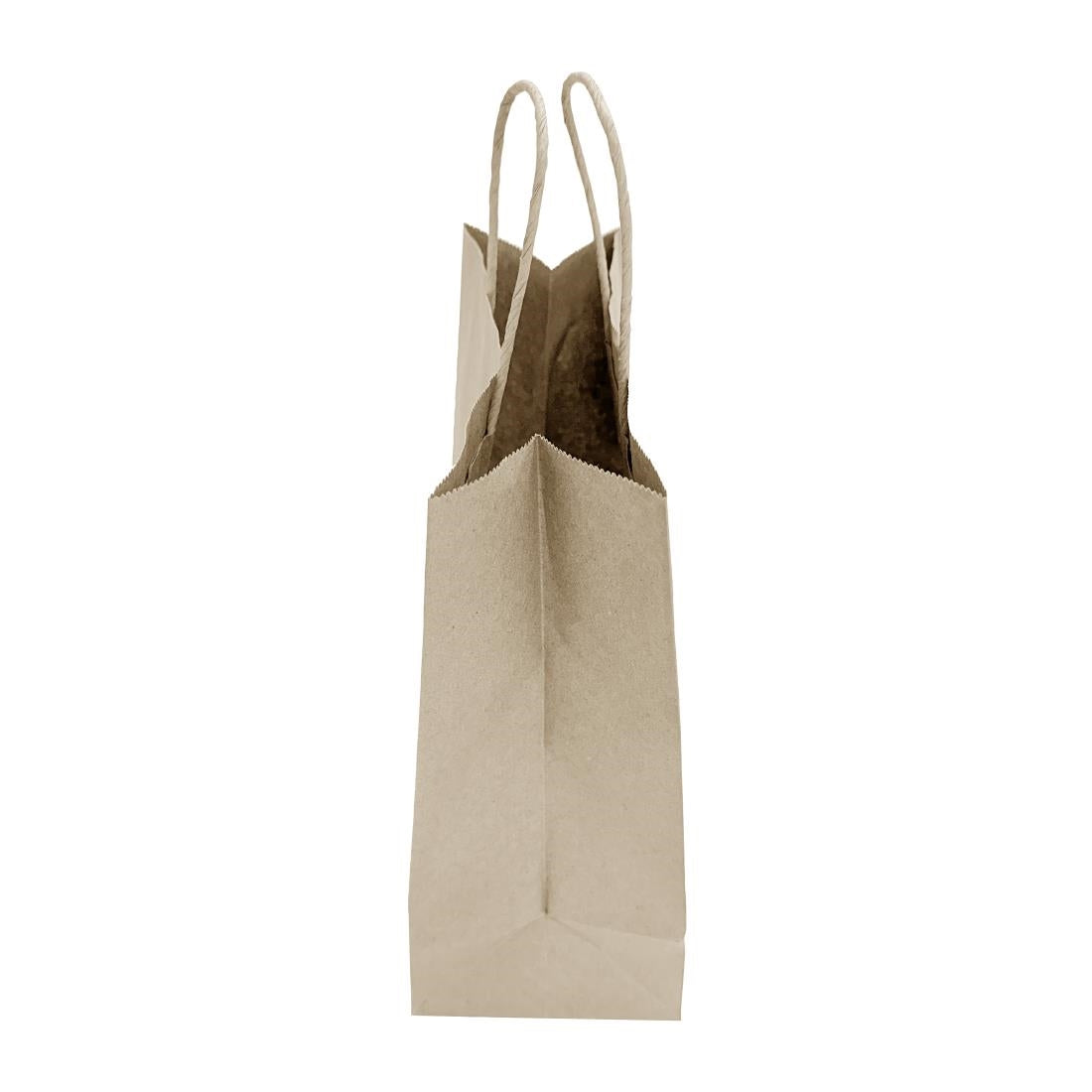 Fiesta Recyclable Twist Handle Brown Paper Bags Medium (250 Pack)
