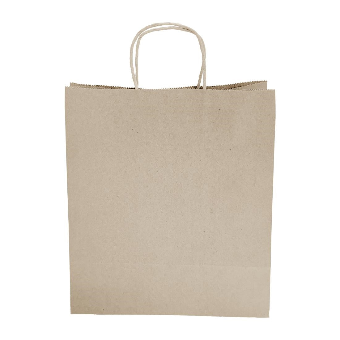 Fiesta Recyclable Twist Handle Brown Paper Bags Large (250 Pack)