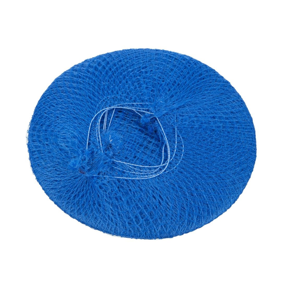 Lion Haircare Hair Net Light Blue (50 Pack)
