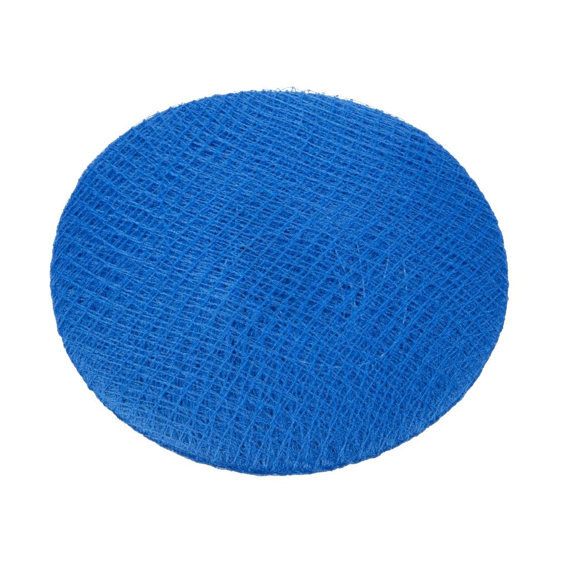 Lion Haircare Hair Net Light Blue (50 Pack)