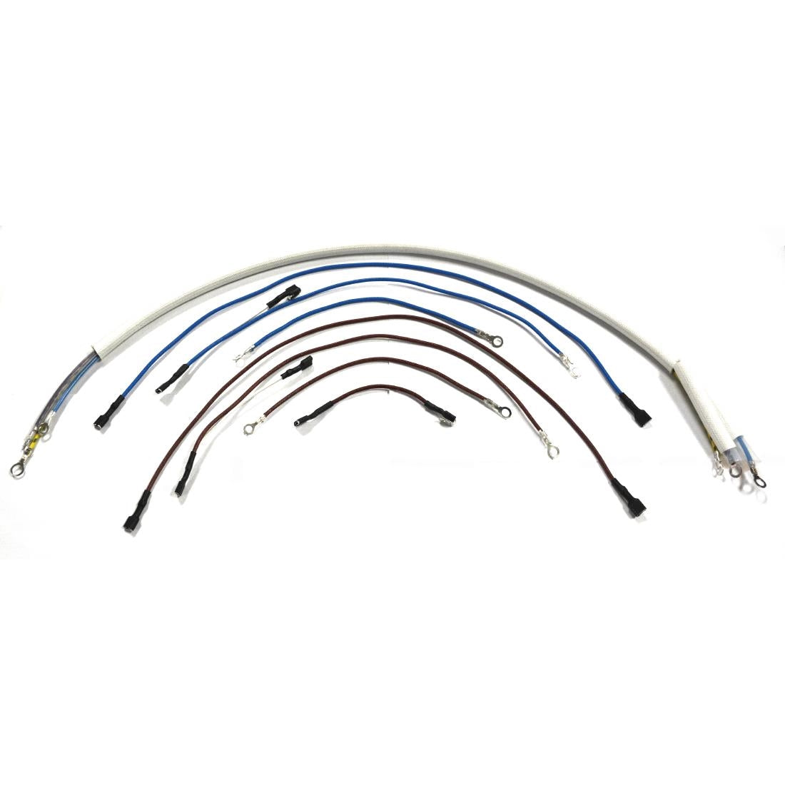 Buffalo Wiring Loom