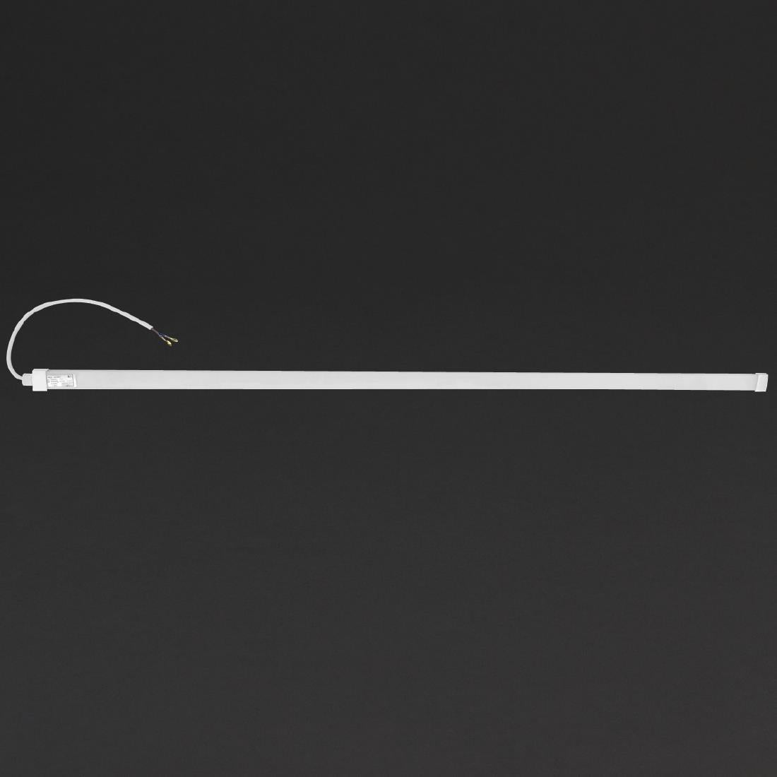 Polar LED Light