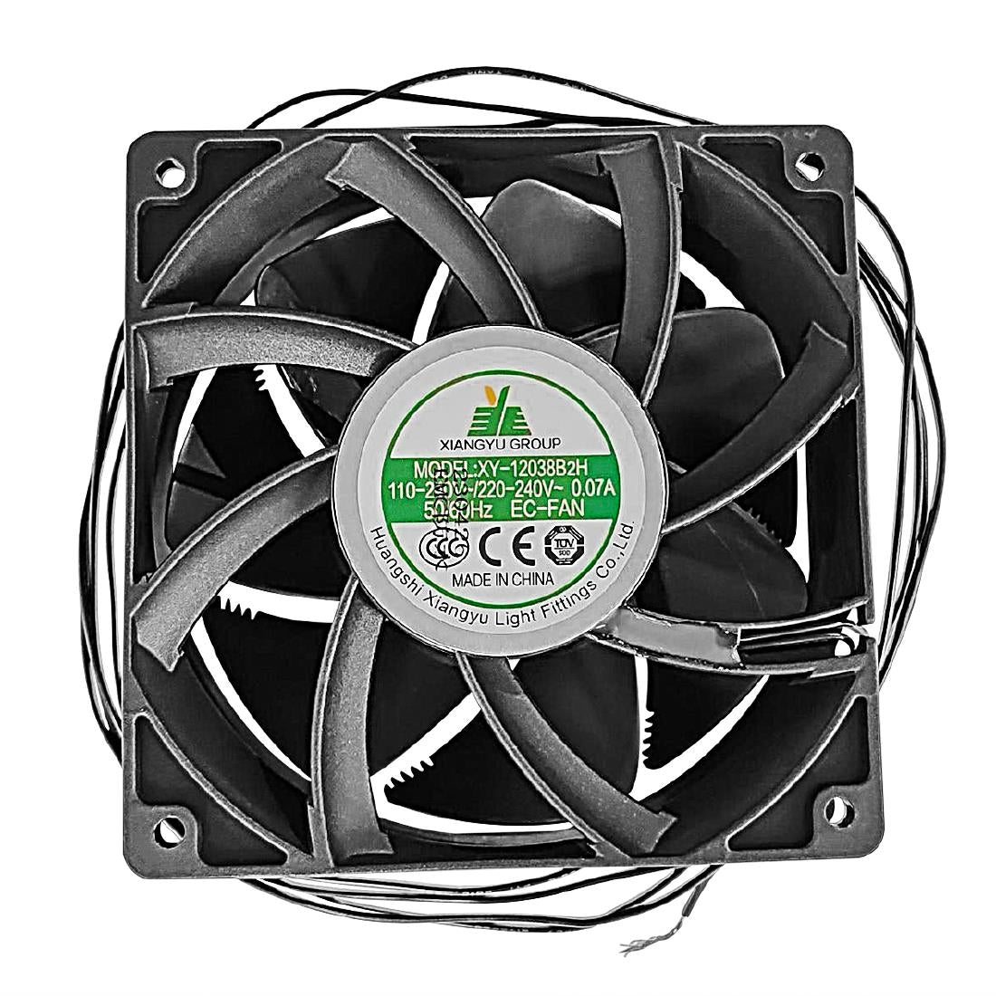 Polar Fan Motor