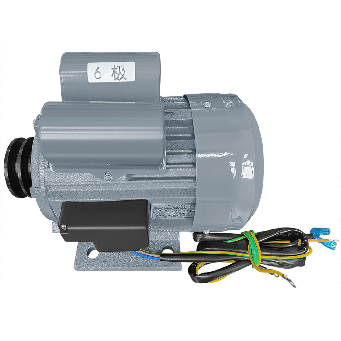 Polar Electric Motor