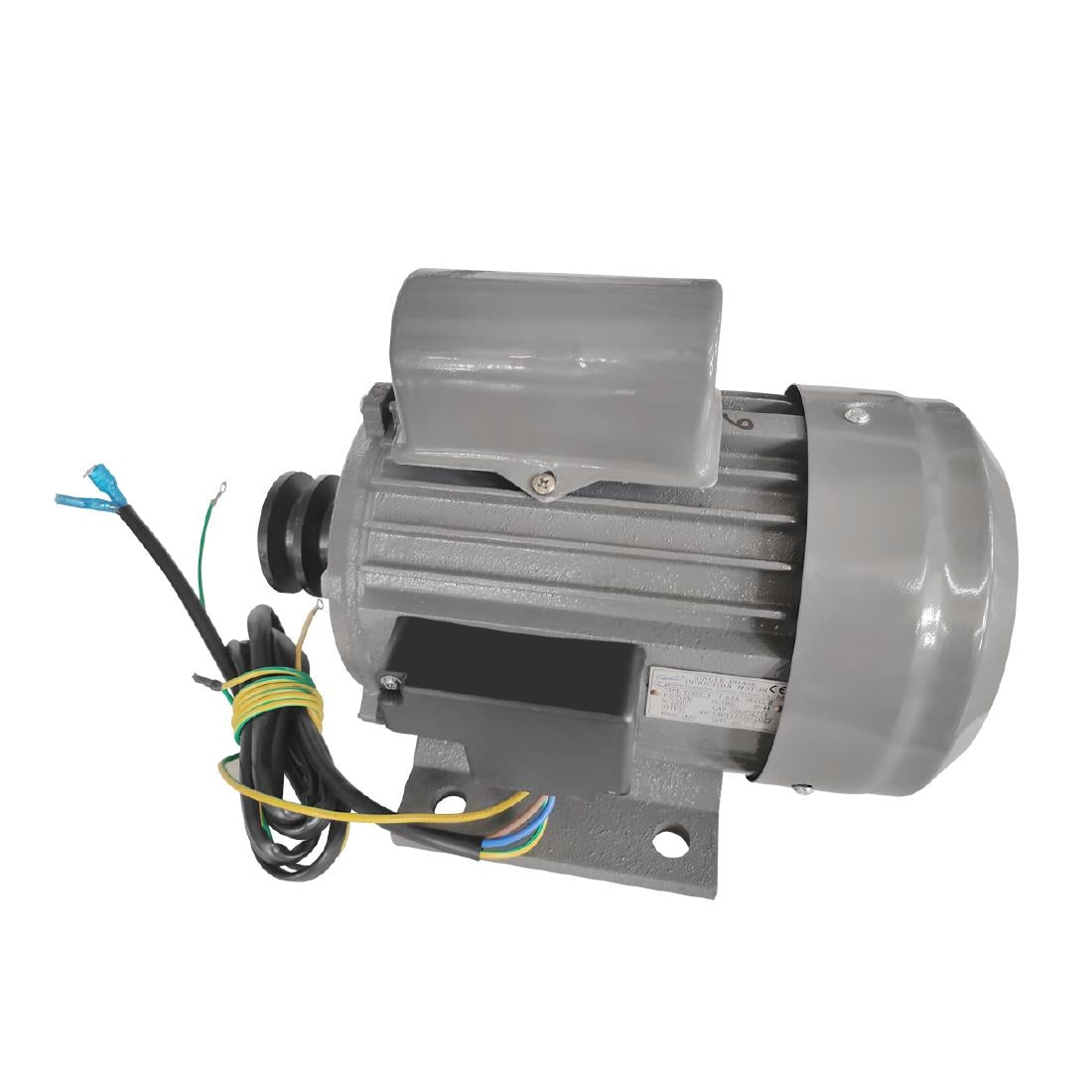 Polar Electric Motor