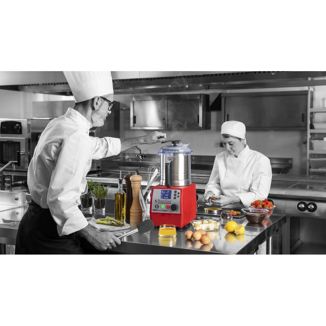 Robot Coupe Robot Cook Cutter Mixer 43001R