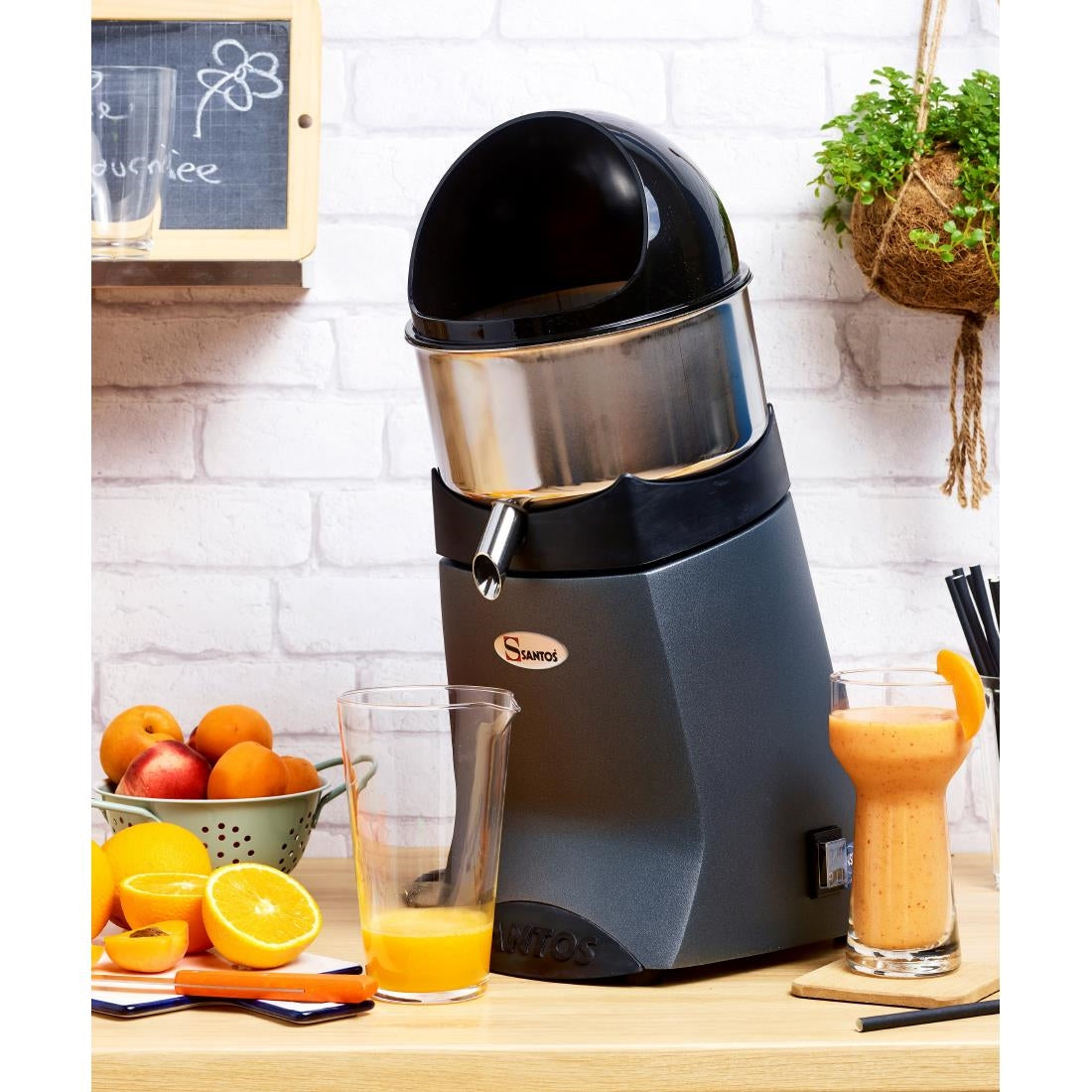 Santos Citrus Juicer 52 Grey