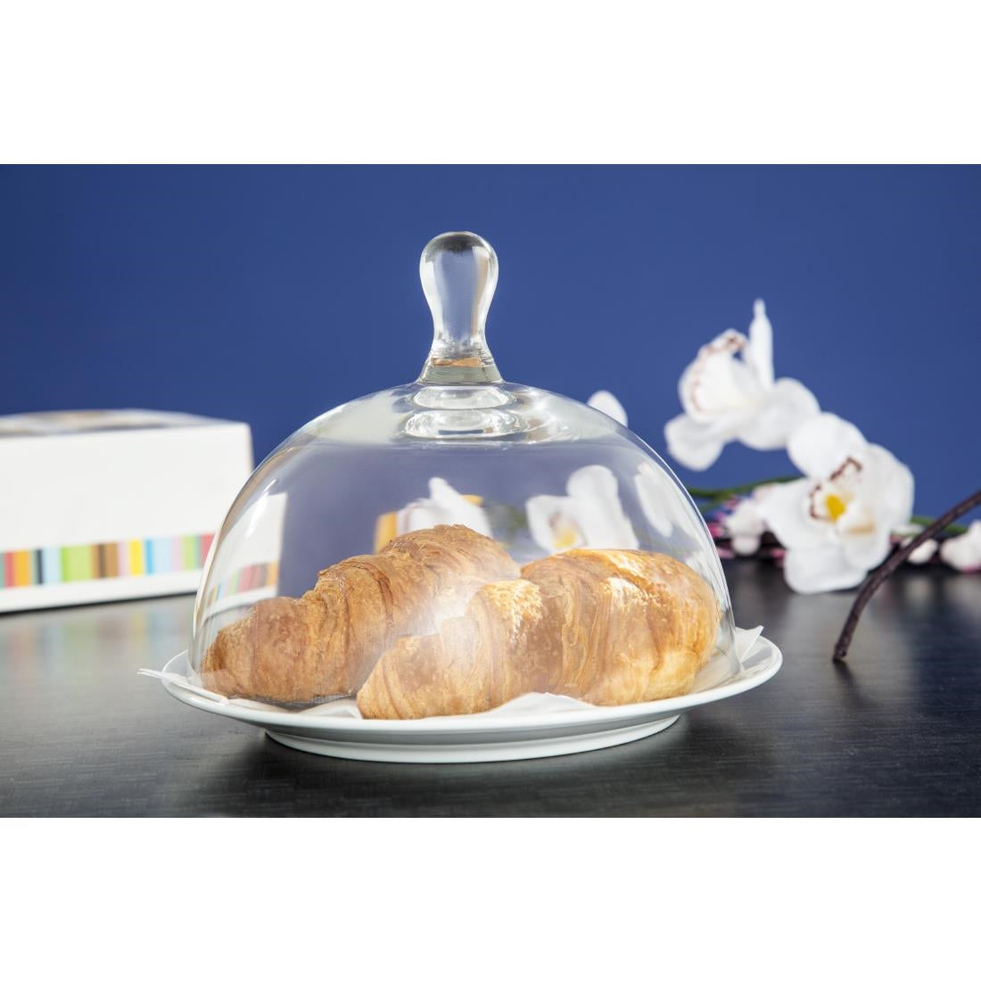 Utopia Large Glass Cloche