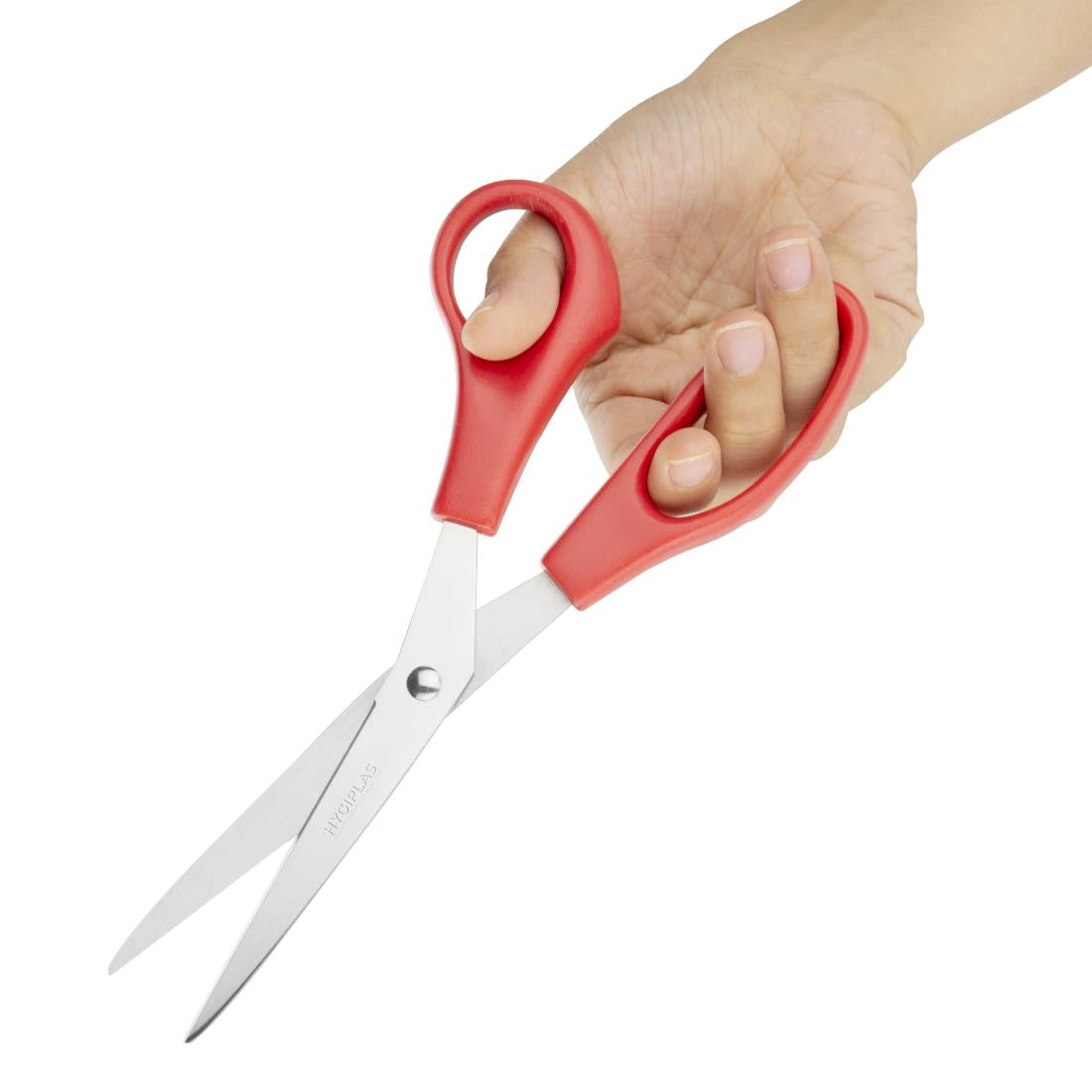 Stainless Steel Scissors