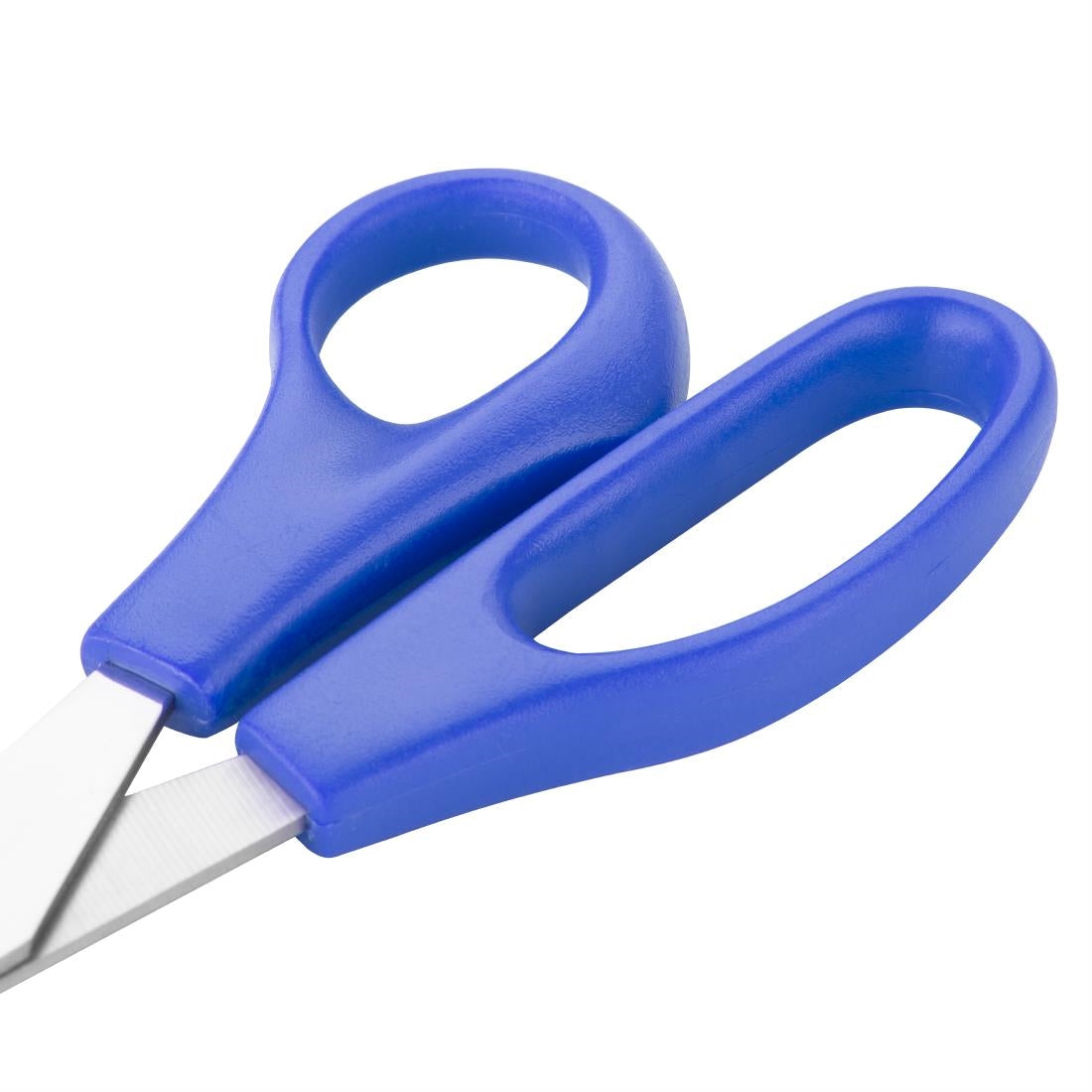 Blue Scissors