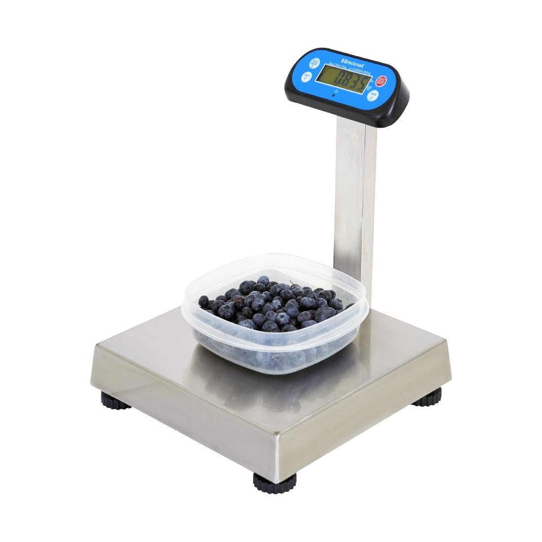 Brecknell 6700U Series POS Scale 6kg