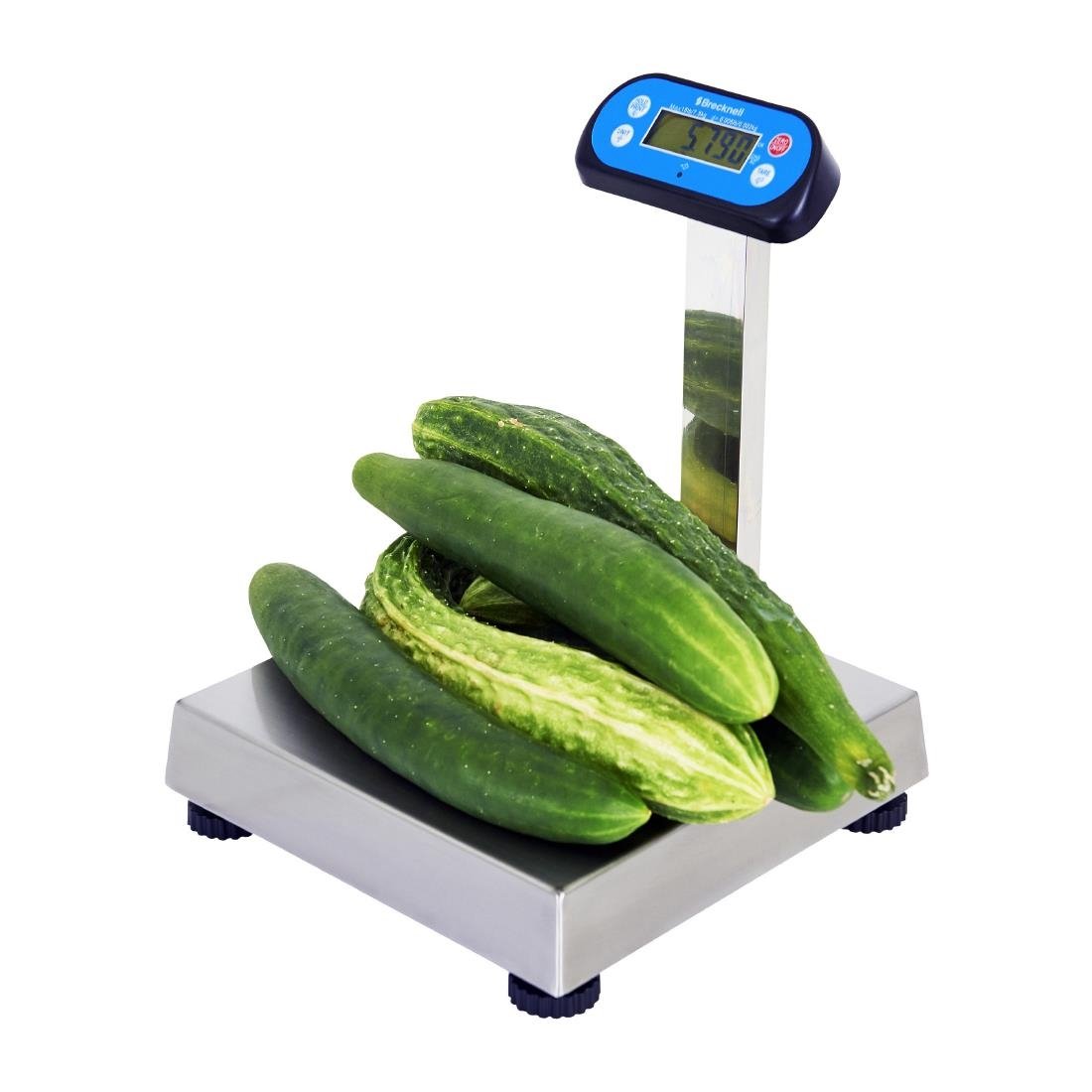 Brecknell 6700U Series POS Scale 6kg