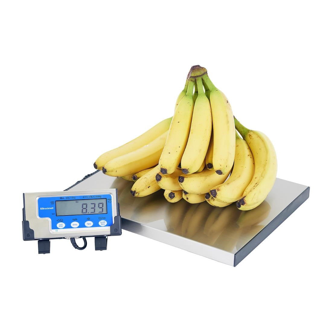 Brecknell WS15 Portable Bench Scale 15kg