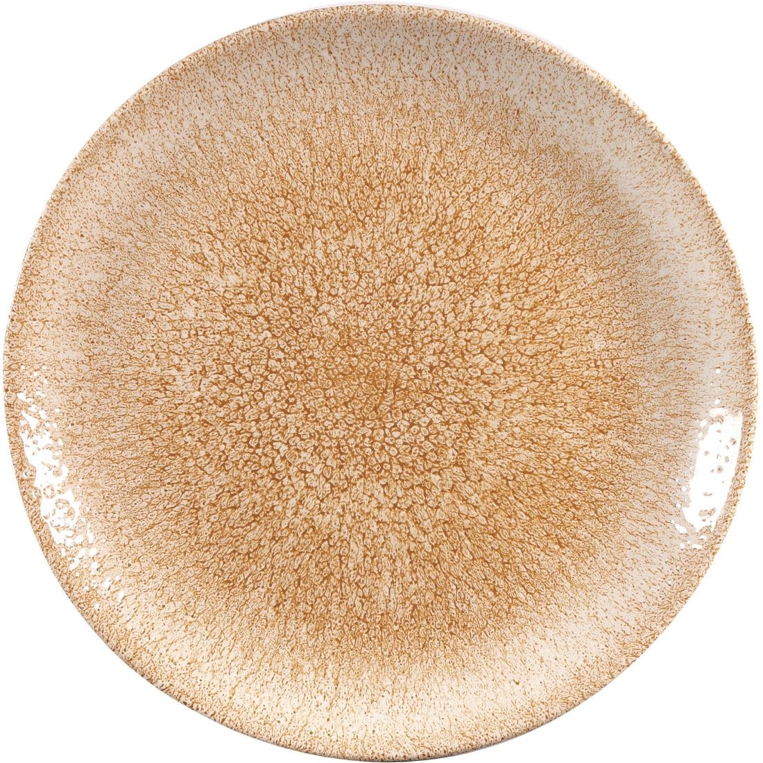 Churchill Studio Prints Raku Coupe Plates Garnet Orange 260mm (12 Pack)