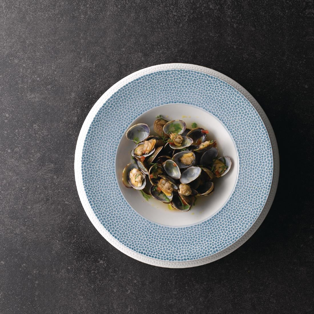 Churchill Isla Wide Rim Bowls Ocean Blue 280mm (12 Pack)