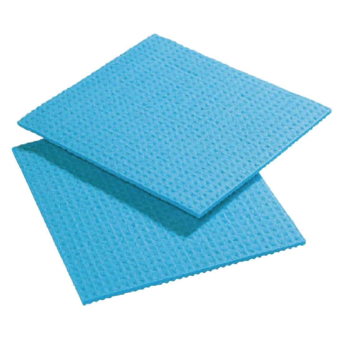 Spontex Spongyl Blue (10 Pack)