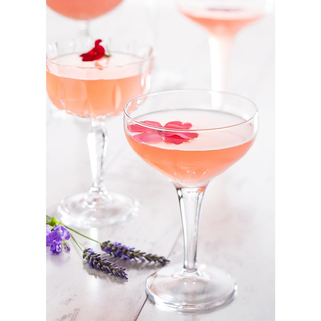 Utopia Moda Fully Toughened Coupe Glasses 210ml (12 Pack)