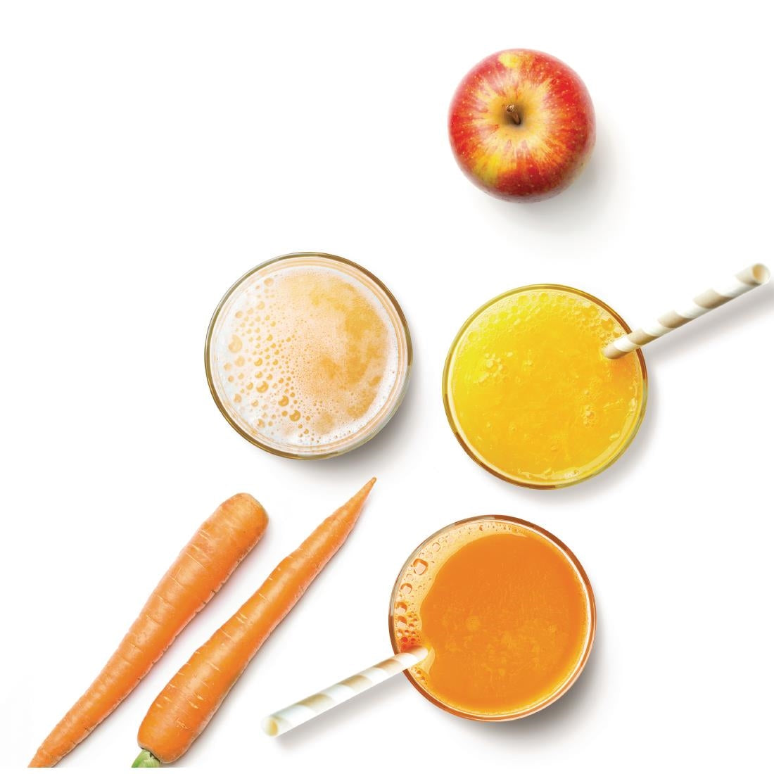 Robot Coupe Juicer J100