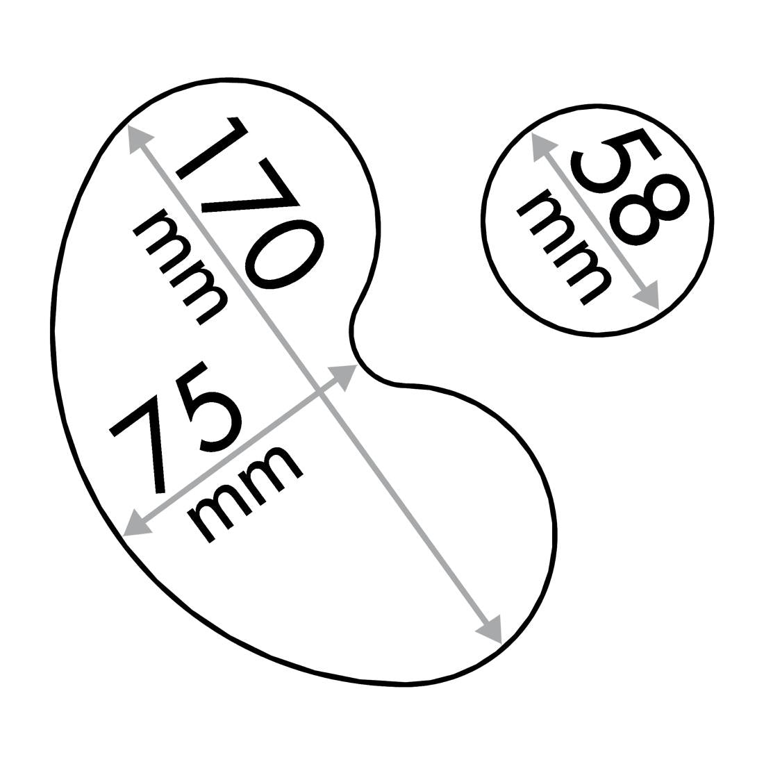 Robot Coupe R502 V.V Food Processor Single Phase