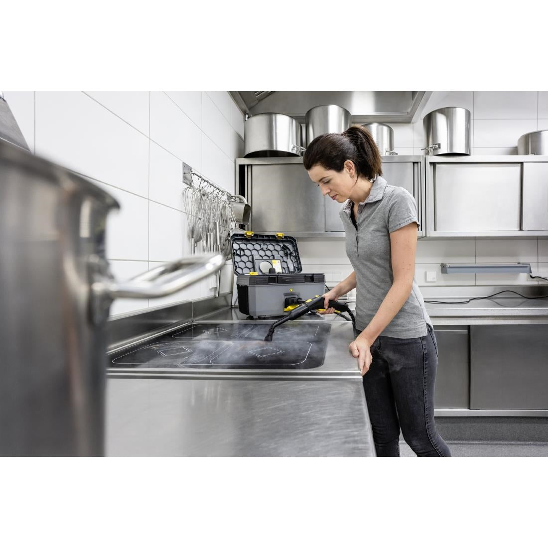 Karcher Steam Cleaner SG 4/2 Classic