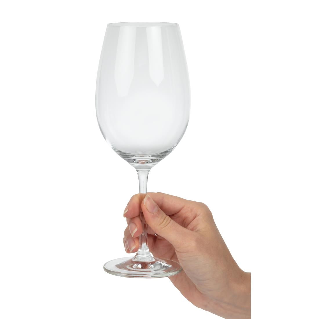 Schott Zwiesel Ivento Red Wine Glasses 480ml (6 Pack)