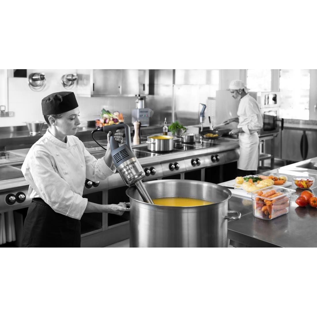 Robot Coupe Stick Blender MP450 VV Ultra