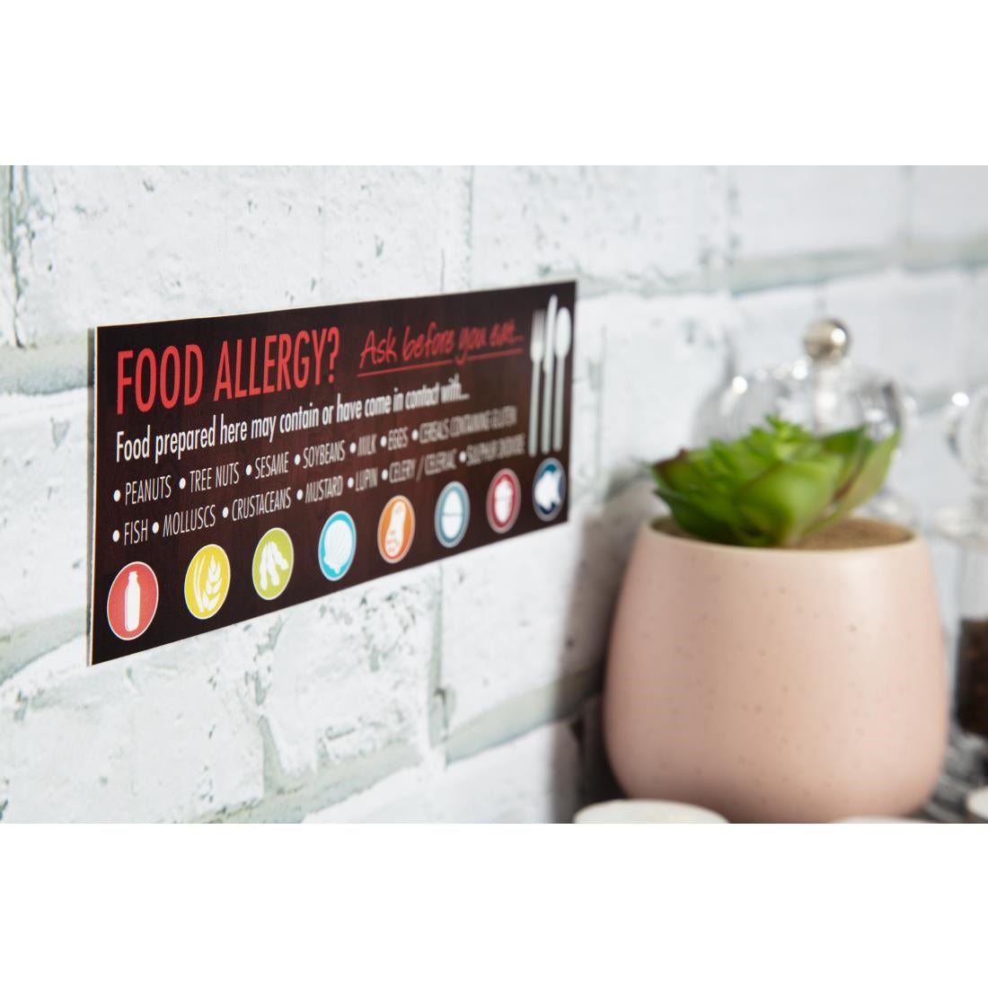 Food Allergen Window and Wall Stickers (8 Pack)