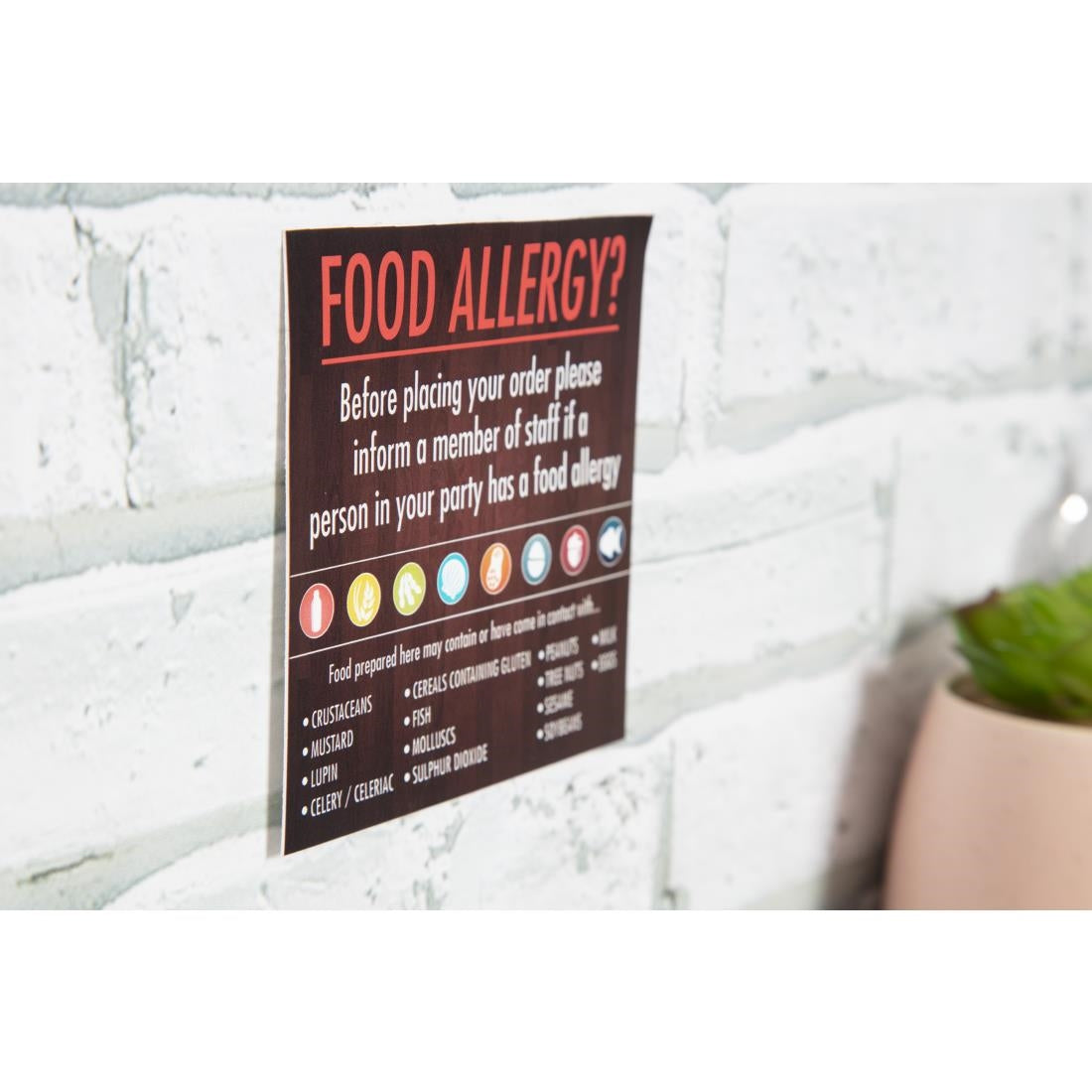 Food Allergen Window and Wall Stickers (8 Pack)