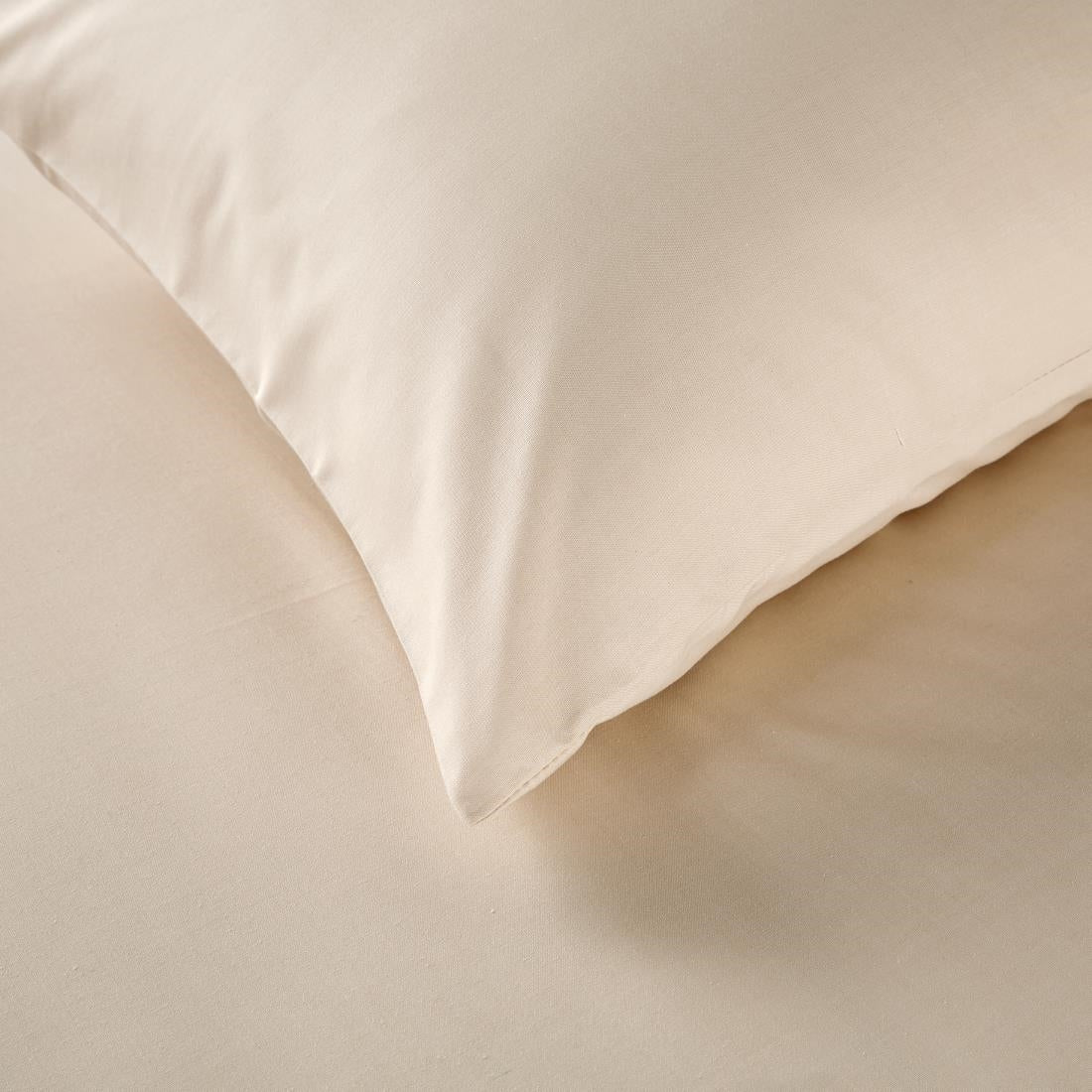 Mitre Essentials Spectrum Housewife Pillowcase Ivory