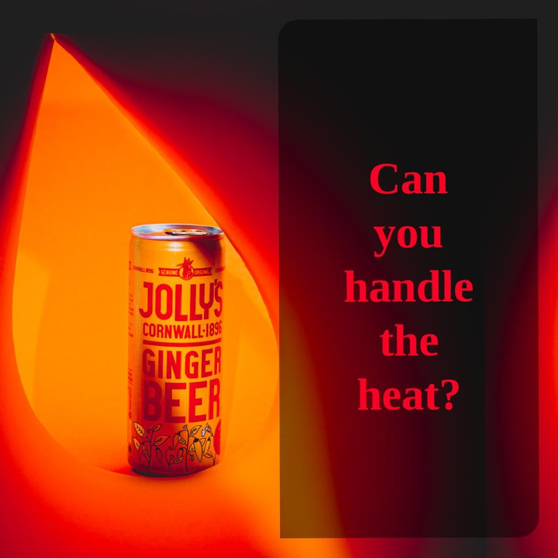 Jolly's Cornish Ginger Beer Cans 250ml (24 Pack)