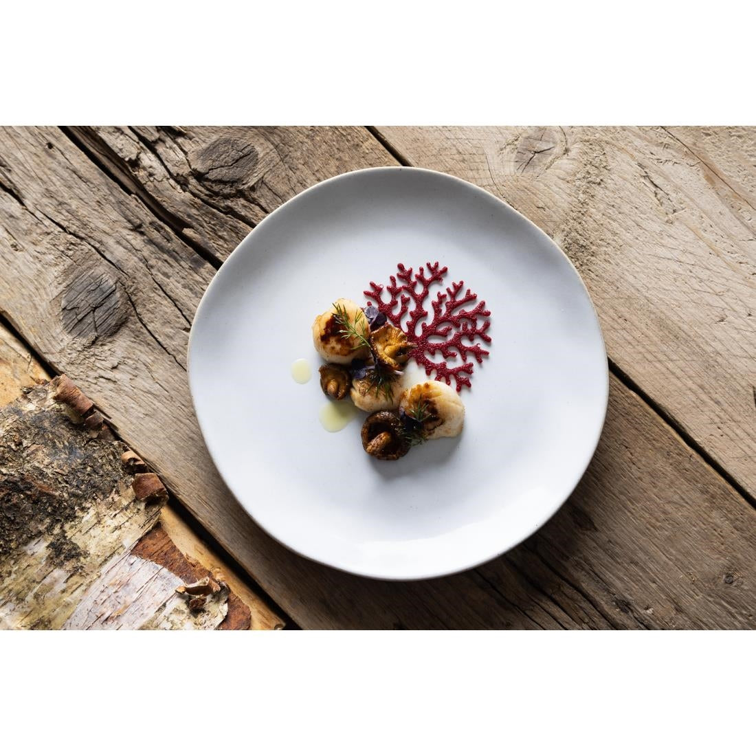 Olympia Raw Recycled Clay Coupe Plates Natural 220mm (6 Pack)