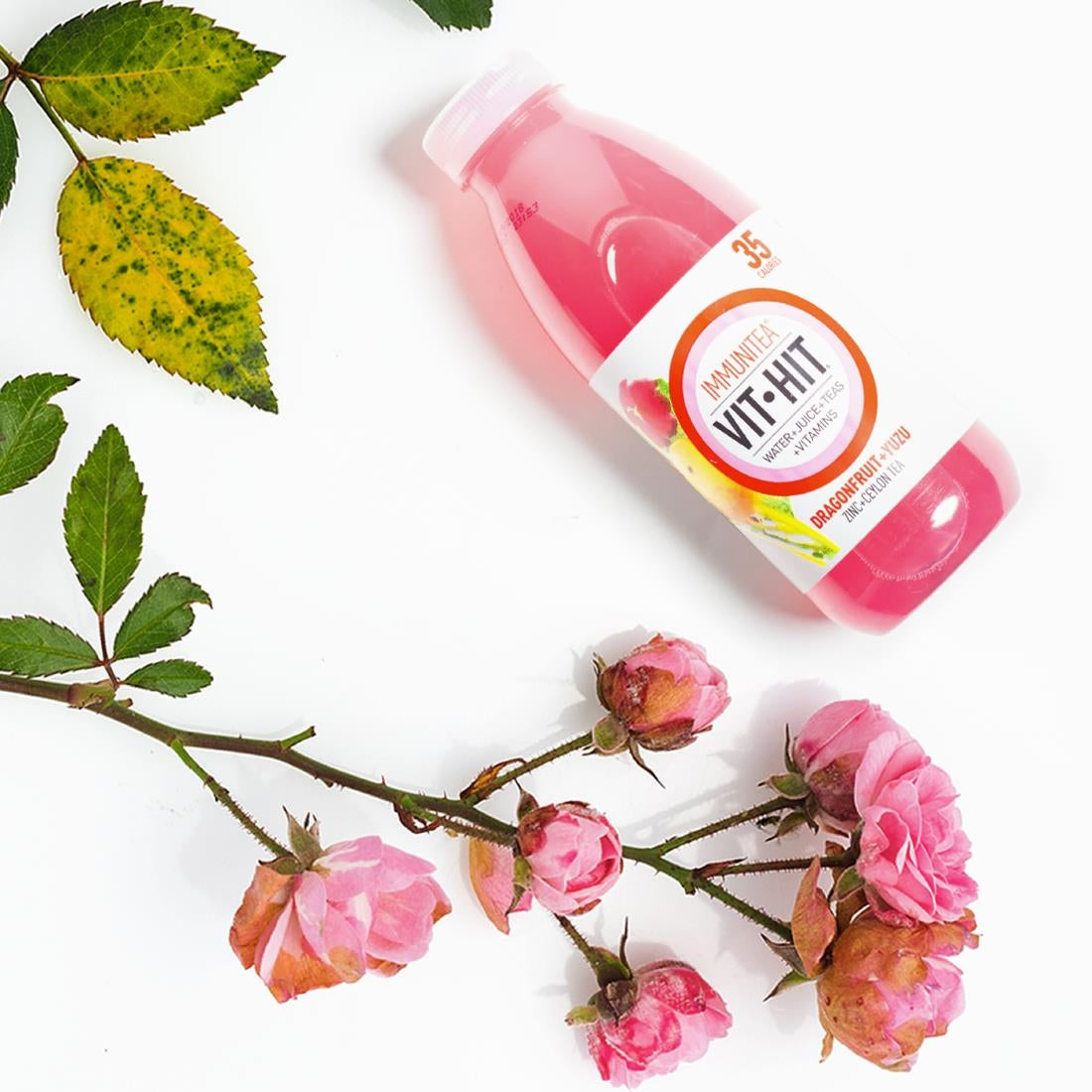 VITHIT Immunitea Dragonfruit & Yuzu Vitamin Water 500ml (12 Pack)