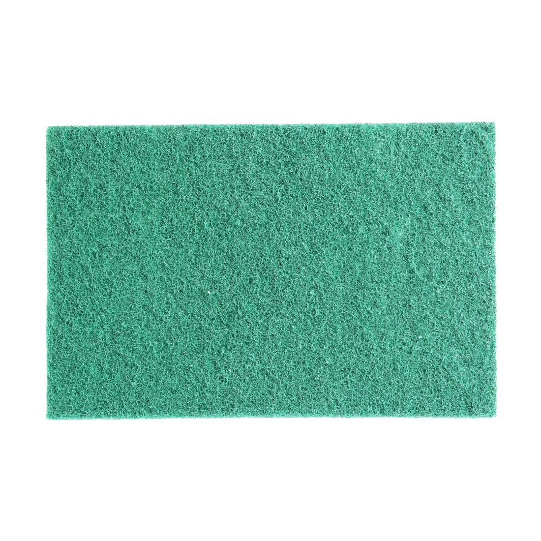 Jantex Green 100% Recycled Scouring Pads 9x6" (10 Pack)
