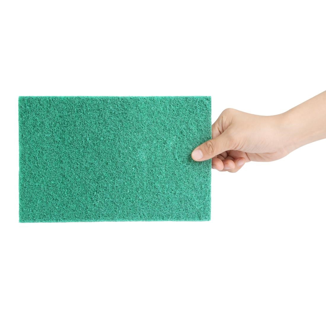 Jantex Green 100% Recycled Scouring Pads 9x6" (10 Pack)