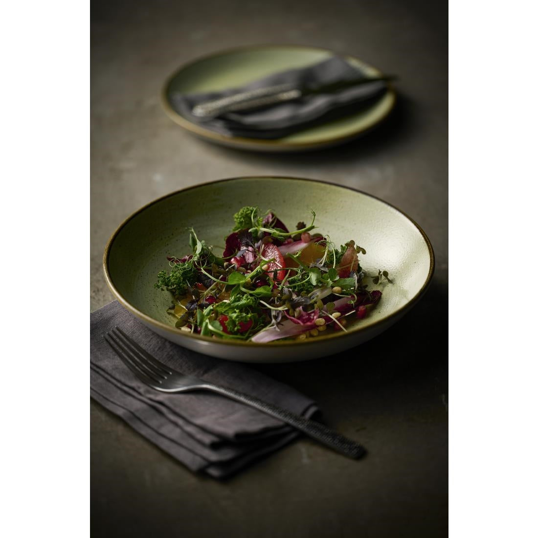 Churchill Stonecast Raw Green Evolve Coupe Plates 220mm (12 Pack)