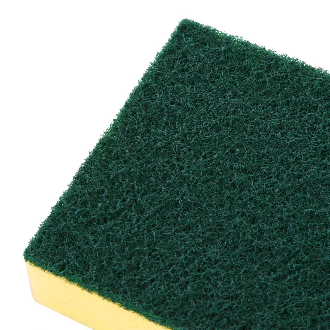 Jantex Foam Scourers (10 Pack)
