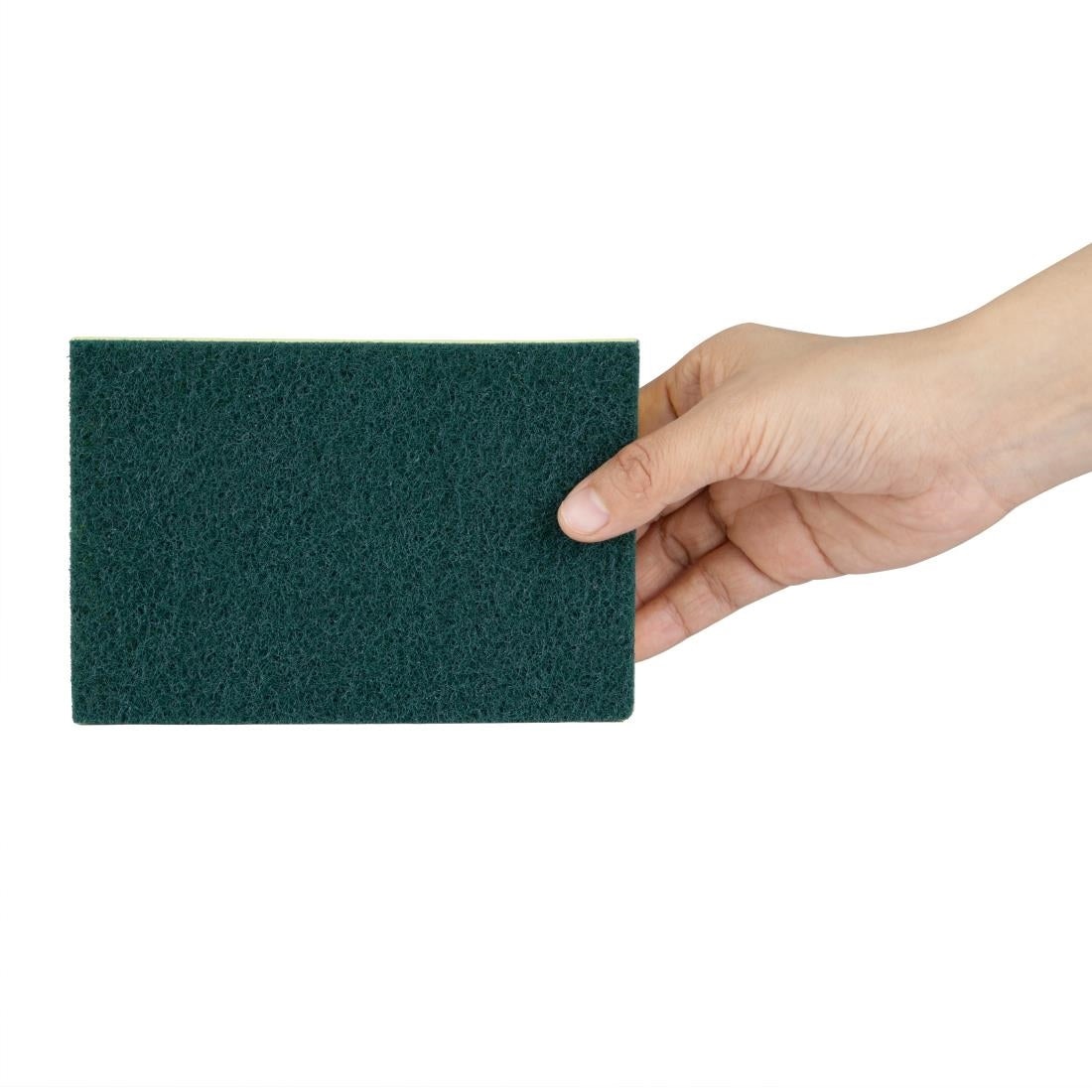 Jantex Foam Scourers (10 Pack)