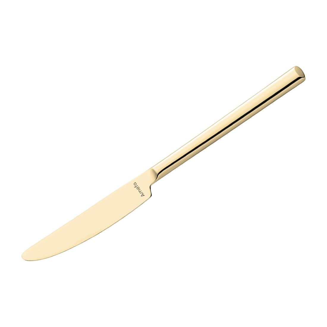 Amefa Metropole Gold Table Knife (12 Pack)