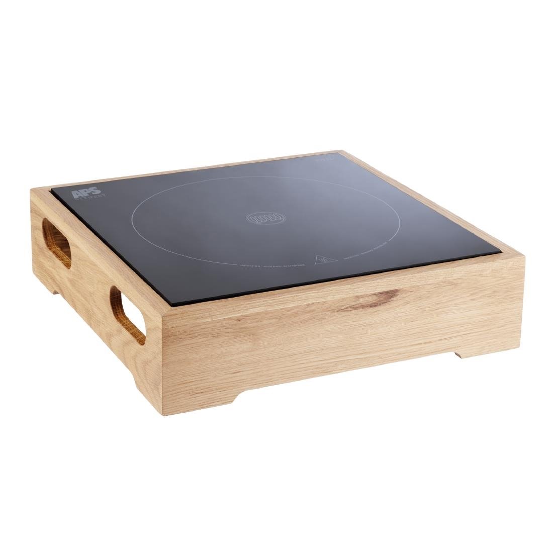 APS Induction Station 390x390x100mm