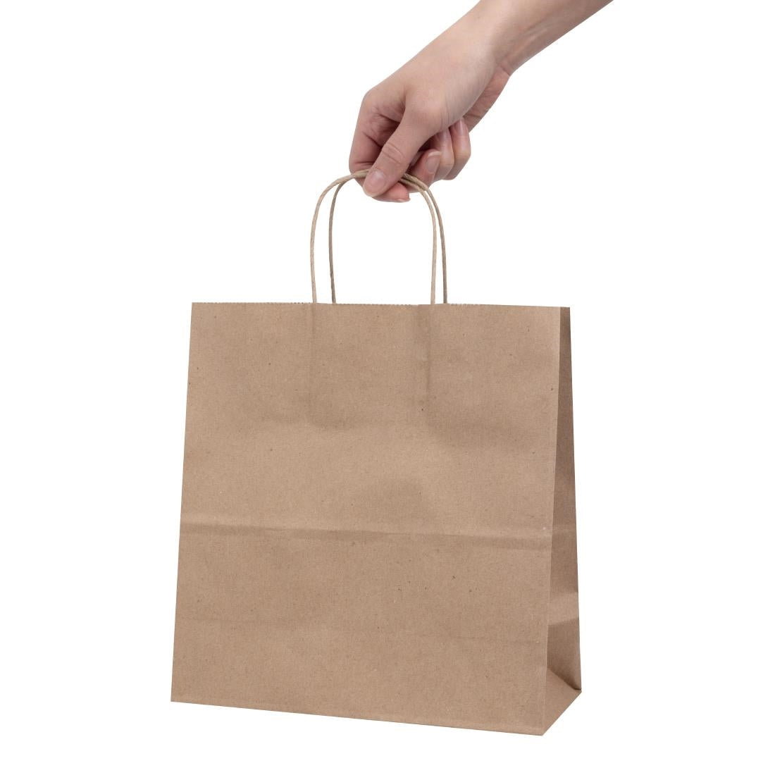 Fiesta Recyclable Twist Handle Brown Paper Bags Medium (250 Pack)