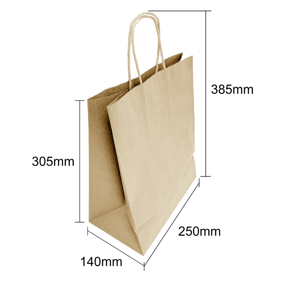 Fiesta Recyclable Twist Handle Brown Paper Bags Large (250 Pack)