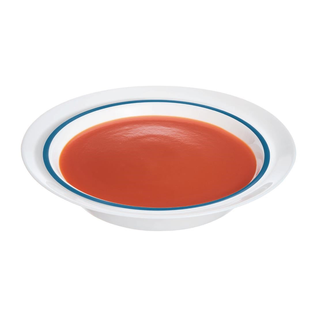 Autonomy Soup Dishes Blue Border 230mm (12 Pack)