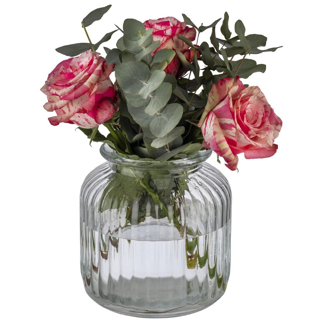 APS Cookiego Storage Jar 3Ltr