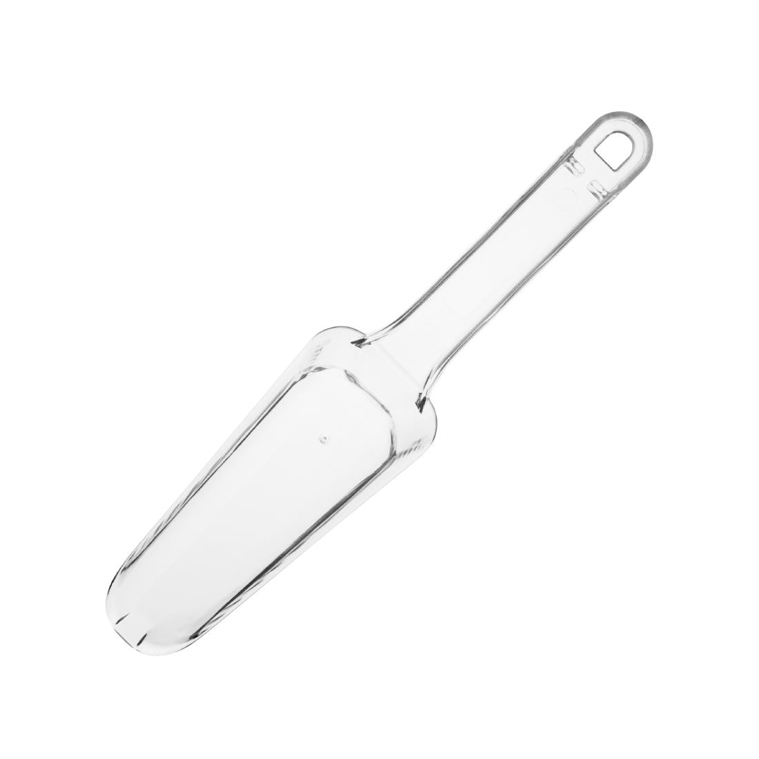 Polycarbonate Scoop