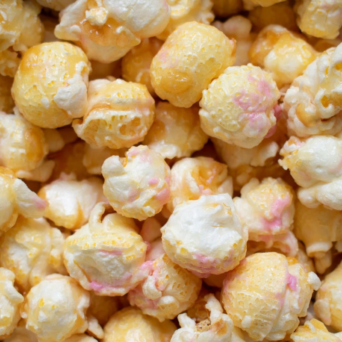 Popcorn Shed Toasted Marshmallow Popcorn Snack Pack 24g (16 Pack)