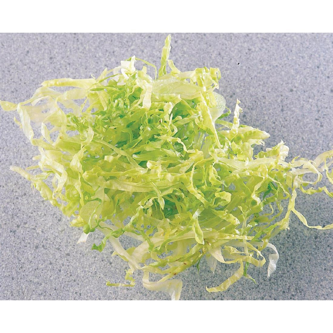 Robot Coupe 5mm Slicer Disc - Ref 27087