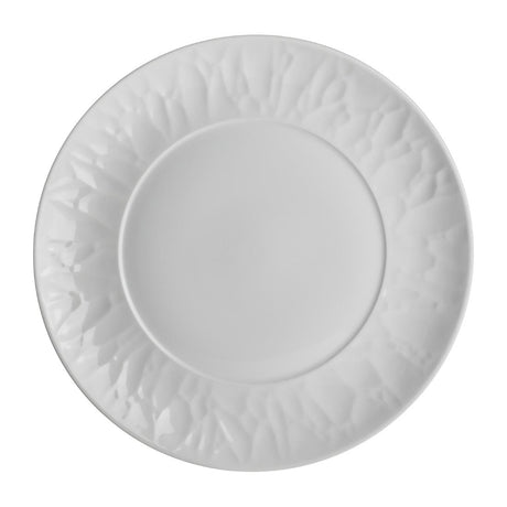 Steelite Atelier Plates 270mm (12 Pack)