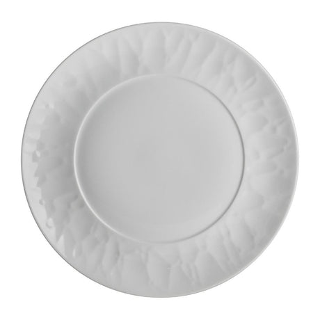 Steelite Atelier Plates 241mm (24 Pack)